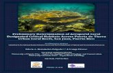 Hernandez & Rivera 2015 Pta Tierra Coral Reefs Report