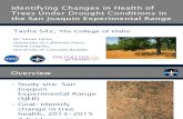 Identifying Changes in Health of Trees Under Drought Conditions in the San Joaquin Experimental Range