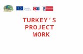 Turkeys Project Work France