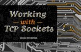 Working With TCP Sockets