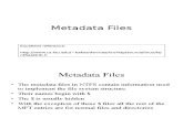MFT Metadata