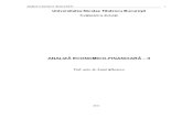 68_Analiza economico-financiara-II_1255.pdf
