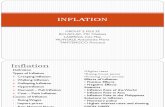 Inflation Mls2f Grp2 Final
