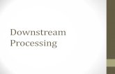 Downstream Processing Intro