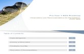 Pre-Year 1 SOX Roadmap - Audit Report
