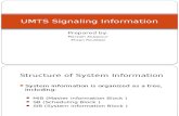 UMTS Signaling Information
