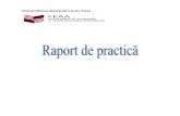 Raport Practica Management - Marketing