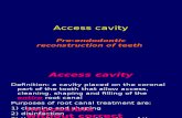 Access Cavity