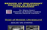 Benign vs Malignant Masses in Breast Ultrasound