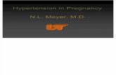 001 Hypertension in Pregnancy