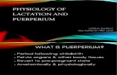 Physiology of Lactation and Purpurium