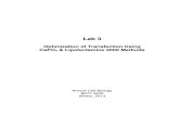 Lab 3_Transfection NIH-3T3 (2013)