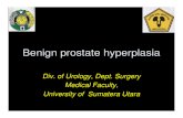 Gus156 Slide Benign Prostate Hyperplasia