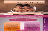 Multiple gestation (1).ppt