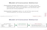 Consumer Buyer Behaviour Imp