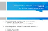 Patoisiologi Pulmonal Vaskular & Pleura