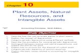 ch10 Plant Assets, Natural Resources, and Intangible Assets