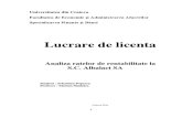 Lucrare de Licenta - Albalact 14.06