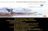 In VITRO Agrobiotecnologia