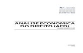 Analise Economica Do Direito 20132