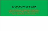 Ecosystem -