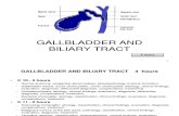 C 10 + 11 GALLBLADDER AND BILIARY TRACT