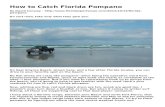 How to Catch Florida Pompano.doc