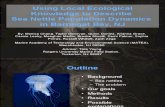 Sea Nettle Population PowerPoint