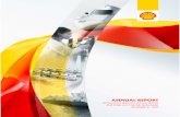 Shell 2010 Annual Report 20f 03