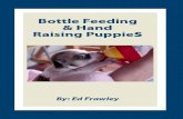 Bottle Feeding Puppies