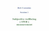 Cummings Workshop - Subjective Wellbeing (SWB) Measurement