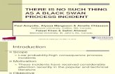 1100 - Amyotte - No Such Thing as a Black Swan Process Incident