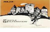 1982 Castle Wolfenstein