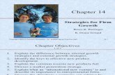 Small Business & Entrepreneurship - Chapter 14