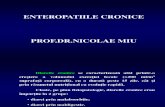 Enteropatiile Cronice