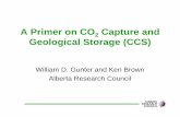 A Primer on CO2 Capture and Geological Storage (CCS)
