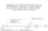 Diabetic Nephropathy & Chronic Renal Failure