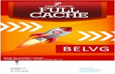 BELVG - Full Cache User Guide