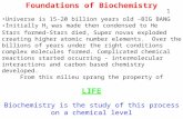 lecture_1 Foundations of Biochemistry.ppt