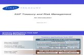 SAP Treasury and Risk Mgmt - Intro