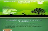 Recovery and Purification of Products