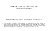 Anatomy Lecture 3 - Encephalon-SectionalAnatomy.ppt