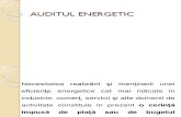 Auditul Energetic Mx