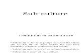Sub Culture1