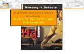 Mercury Cleanup, lab mercury