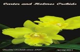 Spring 2013 Catalog Orchids