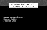 Economic Cost of Redistribution
