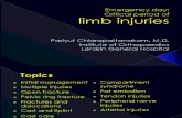 Pariyuth-Limb Injuries for EMed