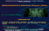 15- Insuficienta Renala Acuta Si Cronica