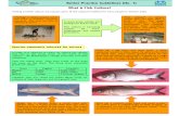 01_What is Fish Culture